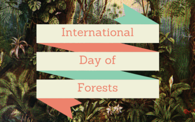 International Day of Forests