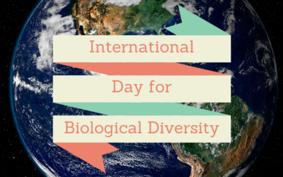 International Day for Biological Diversity