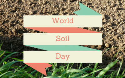 World Soil Day