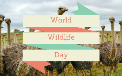 World Wildlife Day